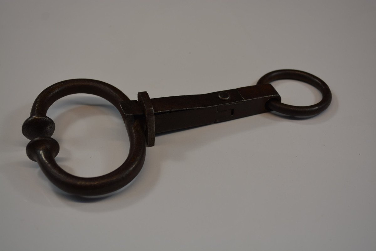Mouchette Pince - Nez De Bovin -photo-2