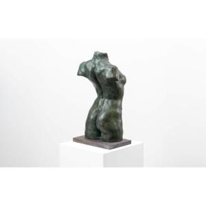 Torse de jeune femme cambrée  - nu féminin