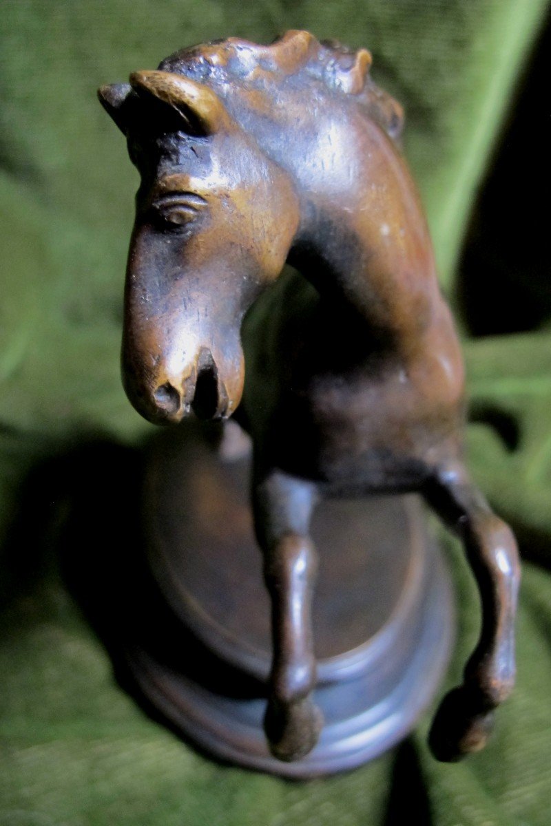 Cheval Cabré en  Bronze-photo-2