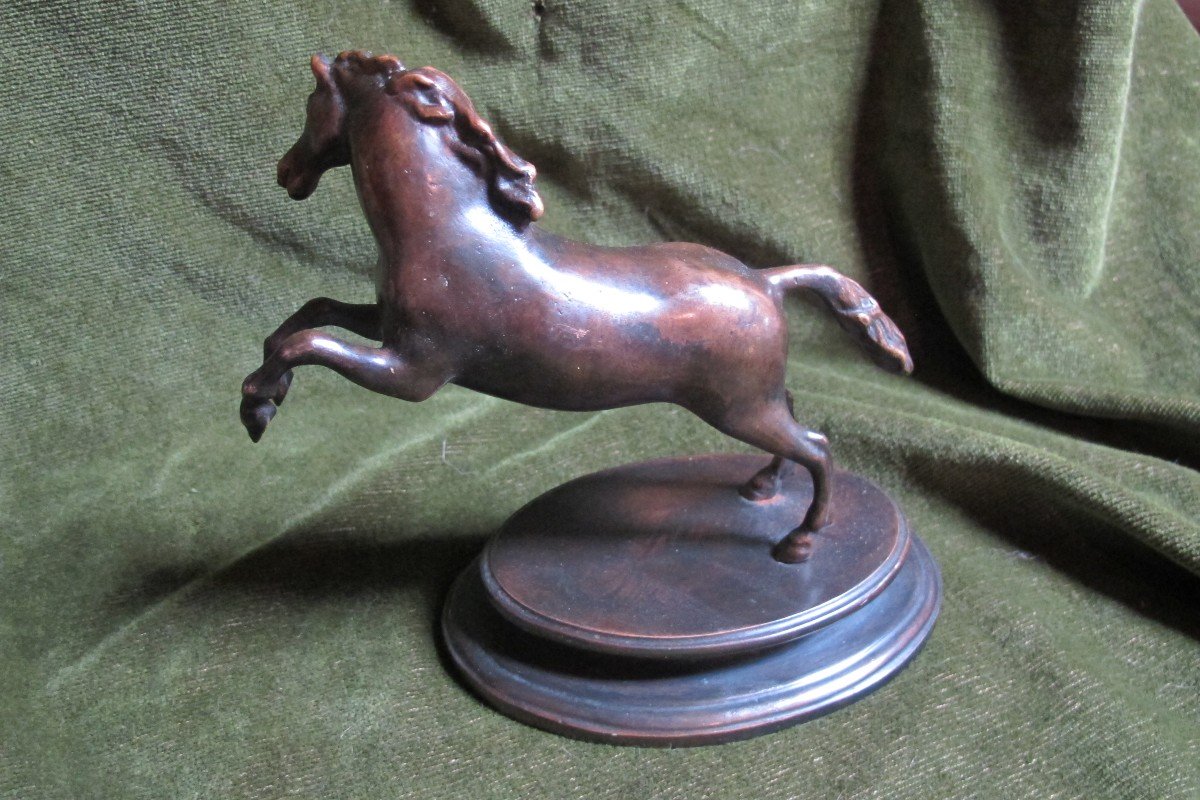 Cheval Cabré en  Bronze-photo-4