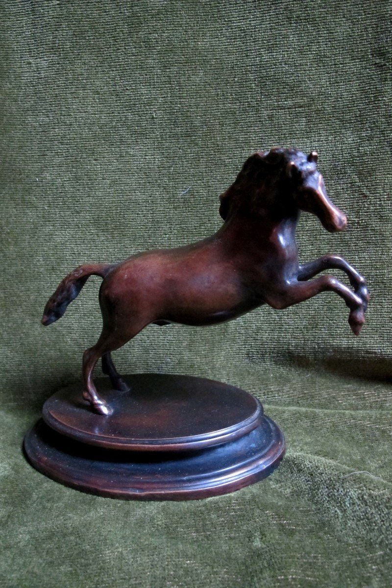 Cheval Cabré en  Bronze