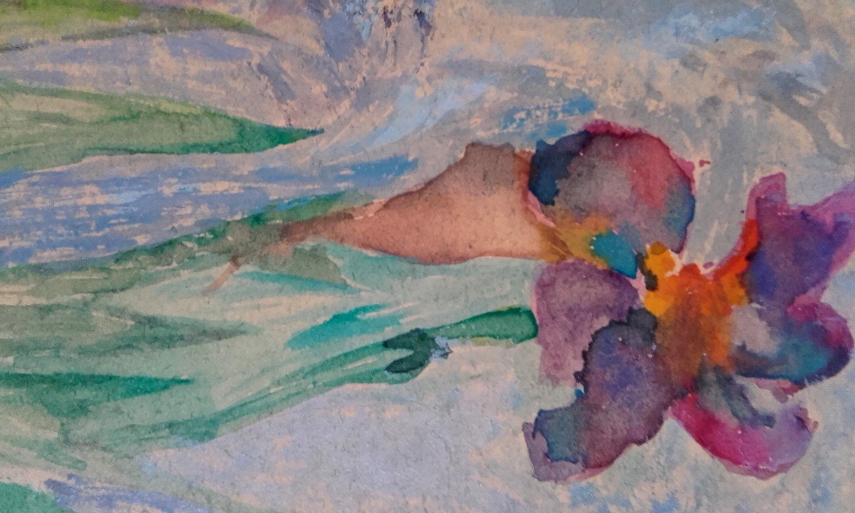 Louis Valtat Iris Et Capucines-photo-5