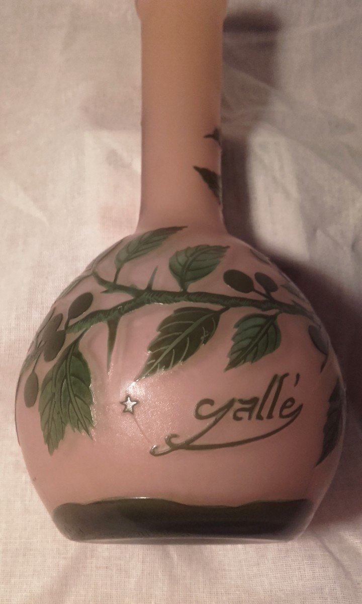 Petit Vase Gallé Décors A l'églantier 1904-1906  19,5 Cm-photo-3