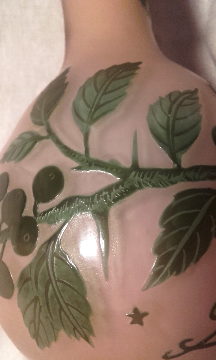 Petit Vase Gallé Décors A l'églantier 1904-1906  19,5 Cm-photo-7