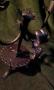 1266748-alb-65aacf313bb0d.jpg