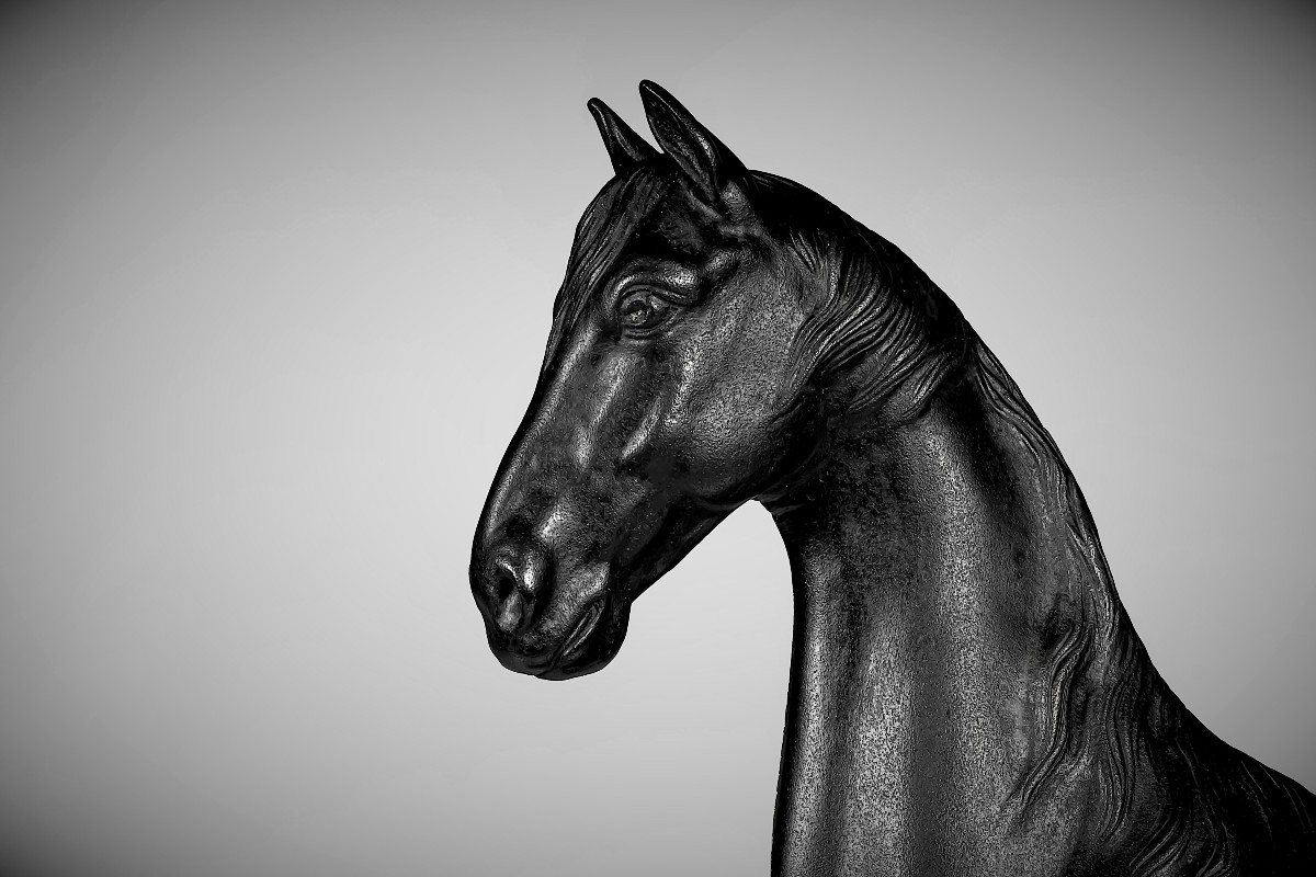 Japanese Bronze By Shinkai Taketarô - Horse-photo-1