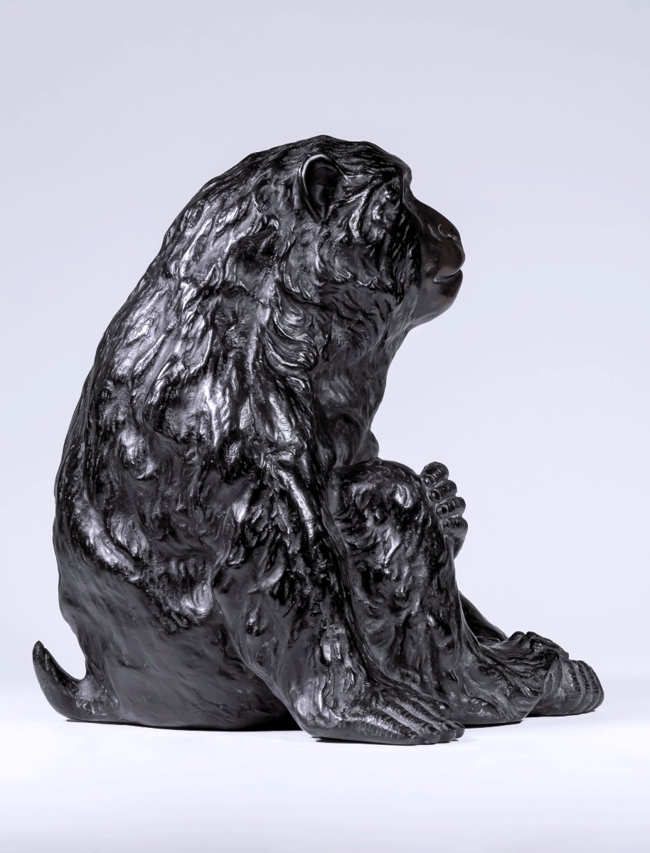 Bronze japonais de TSUNEYAMA 常山 (Japon, Meiji, 1868-1912) - Singe-photo-4