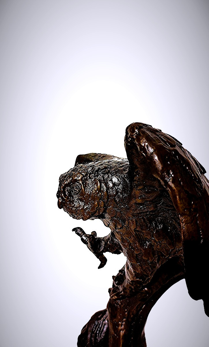 Bronze Japonais - Chouette-photo-3