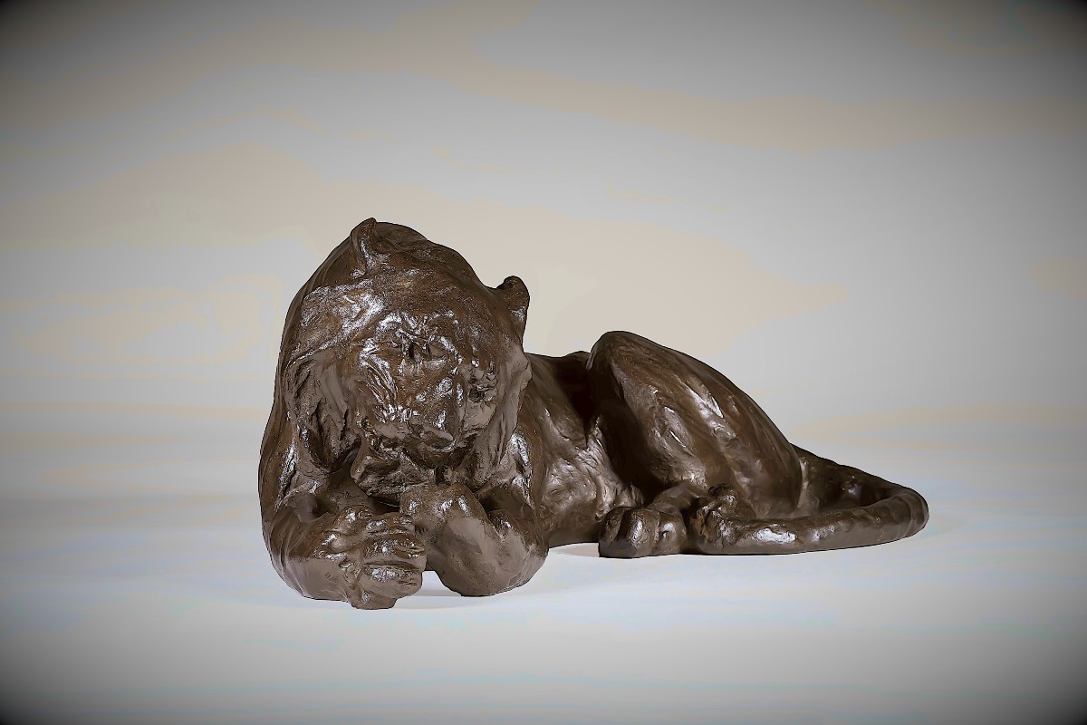 Bronze Japonais de Kondo SHOSHIN  (MASAZANE) - tigre léchant ses pattes-photo-2