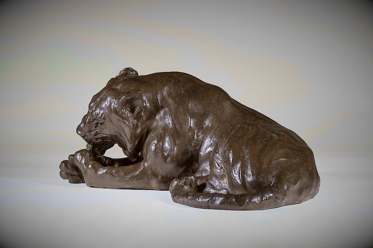 Bronze Japonais de Kondo SHOSHIN  (MASAZANE) - tigre léchant ses pattes-photo-3