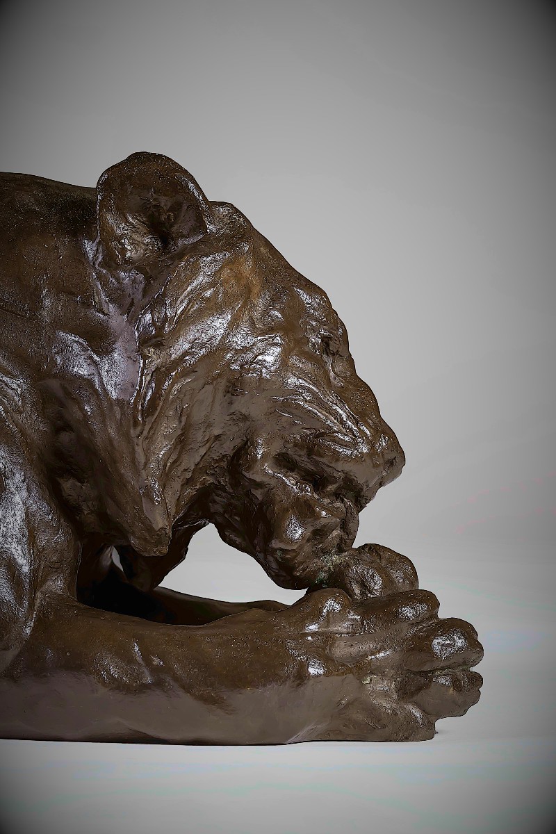 Bronze Japonais de Kondo SHOSHIN  (MASAZANE) - tigre léchant ses pattes-photo-4