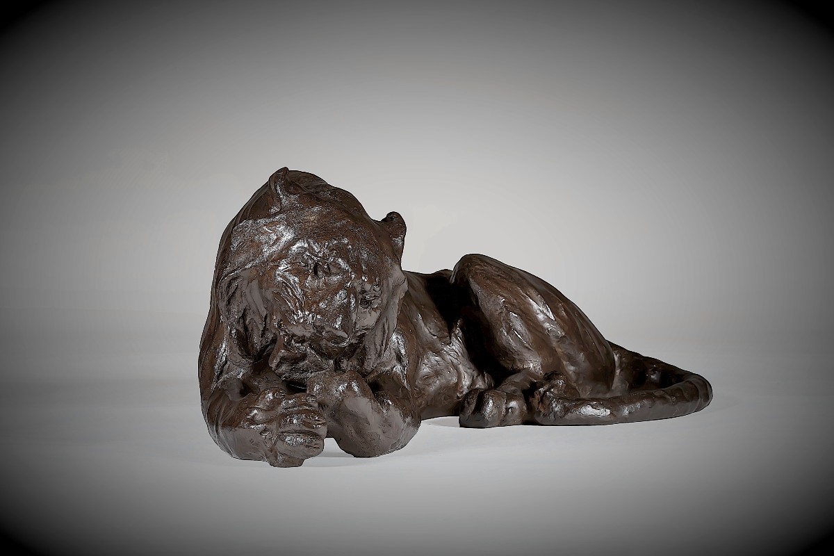 Japanese Bronze By Kondo Shoshin (masazane) - Tiger Licking Its Paws-photo-2