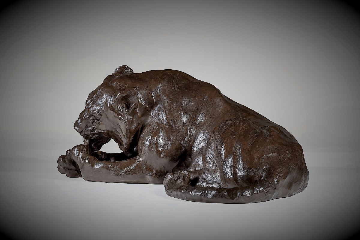 Japanese Bronze By Kondo Shoshin (masazane) - Tiger Licking Its Paws-photo-3