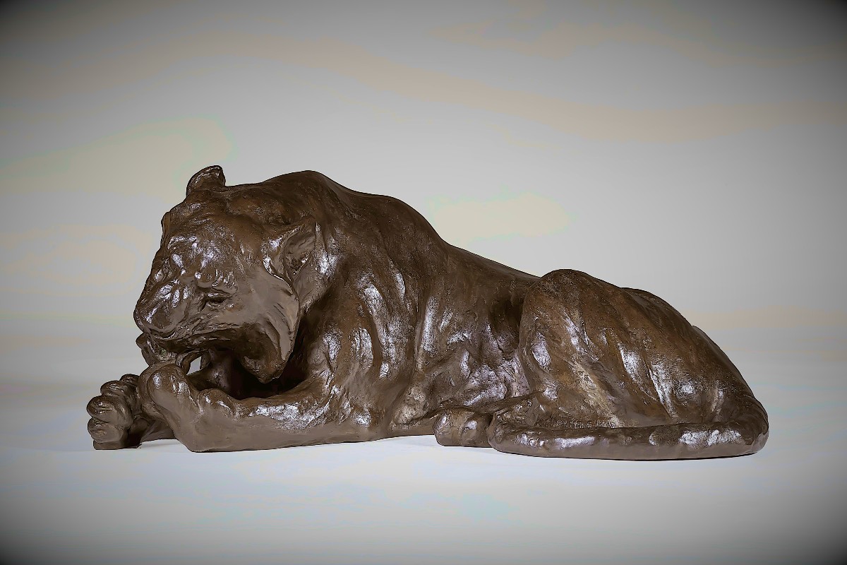 Bronze Japonais de Kondo SHOSHIN  (MASAZANE) - tigre léchant ses pattes