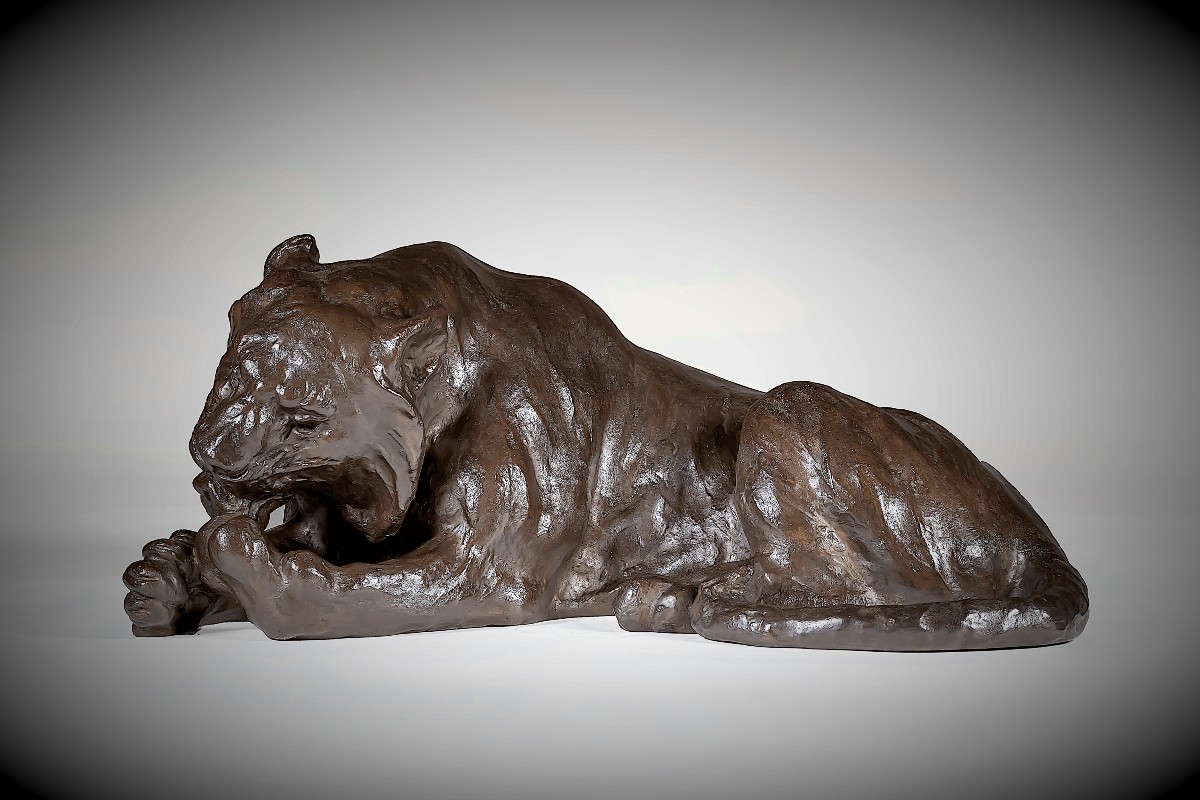 Japanese Bronze By Kondo Shoshin (masazane) - Tiger Licking Its Paws