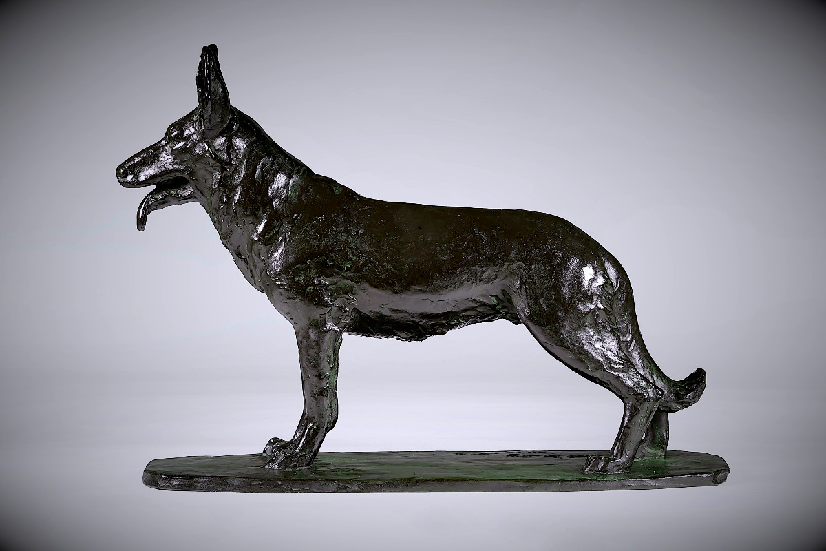Bronze Japonais de Terahata SUKENOJÔ  - Berger Allemand-photo-2