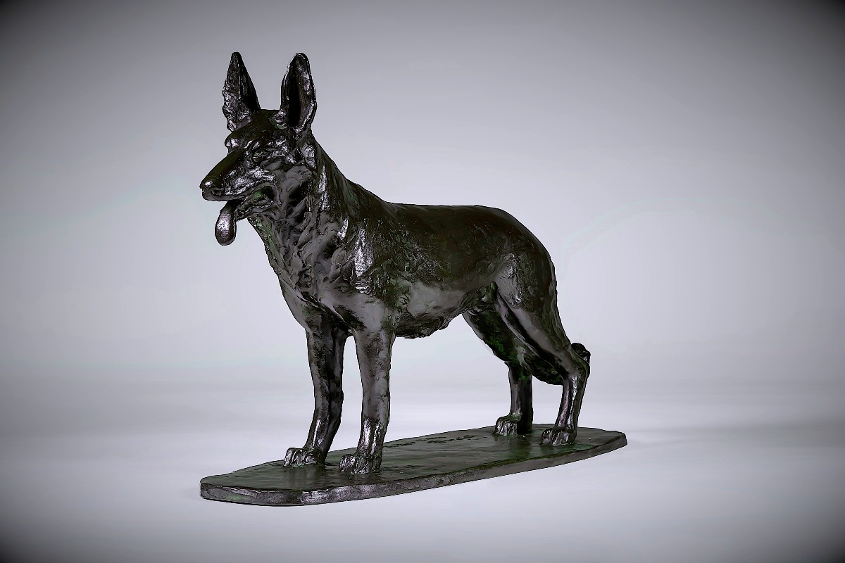 Bronze Japonais de Terahata SUKENOJÔ  - Berger Allemand-photo-3