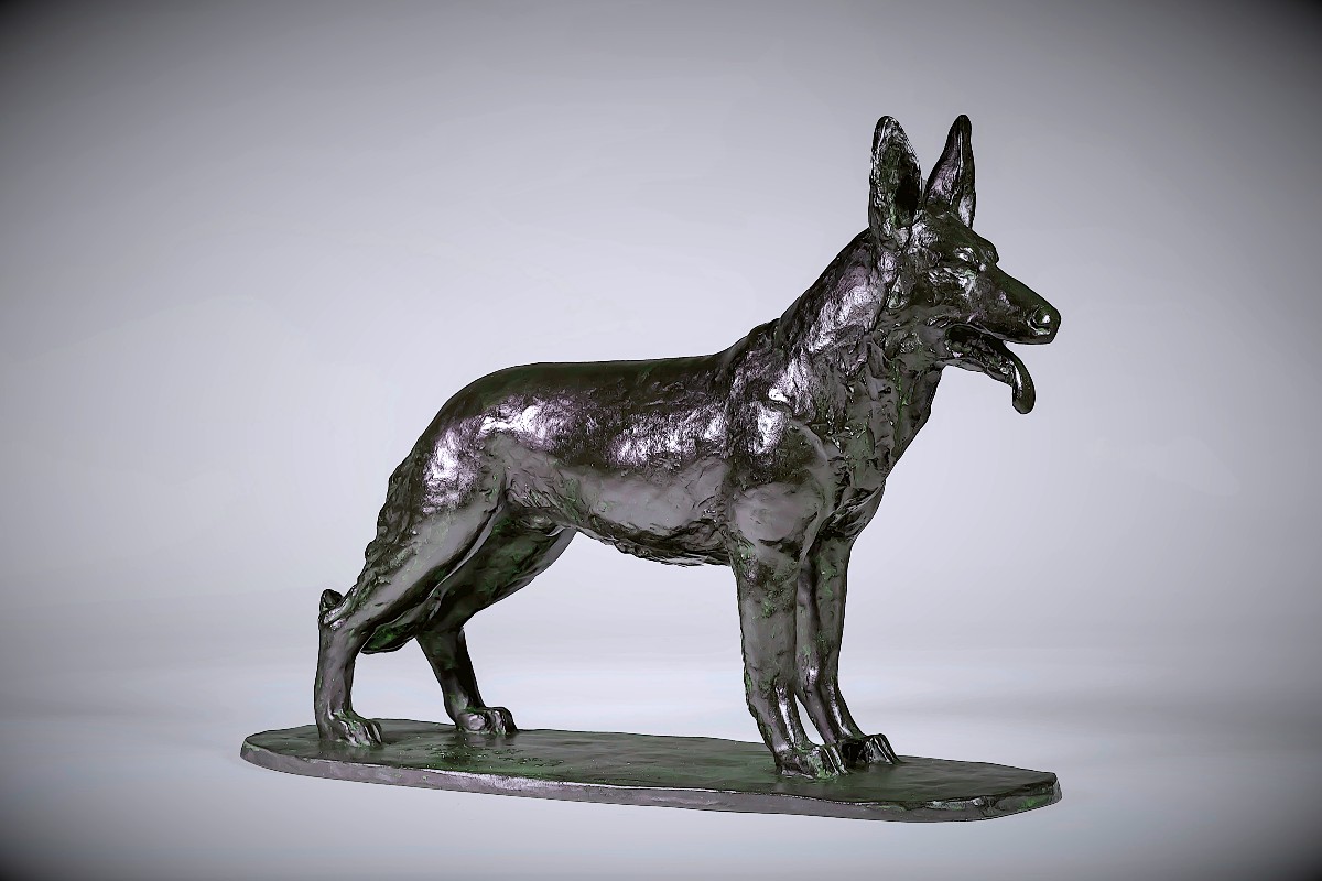 Bronze Japonais de Terahata SUKENOJÔ  - Berger Allemand-photo-4