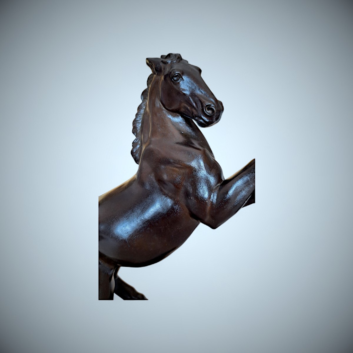 Bronze Japonais de Masahiko KATORI : cheval cabré-photo-6