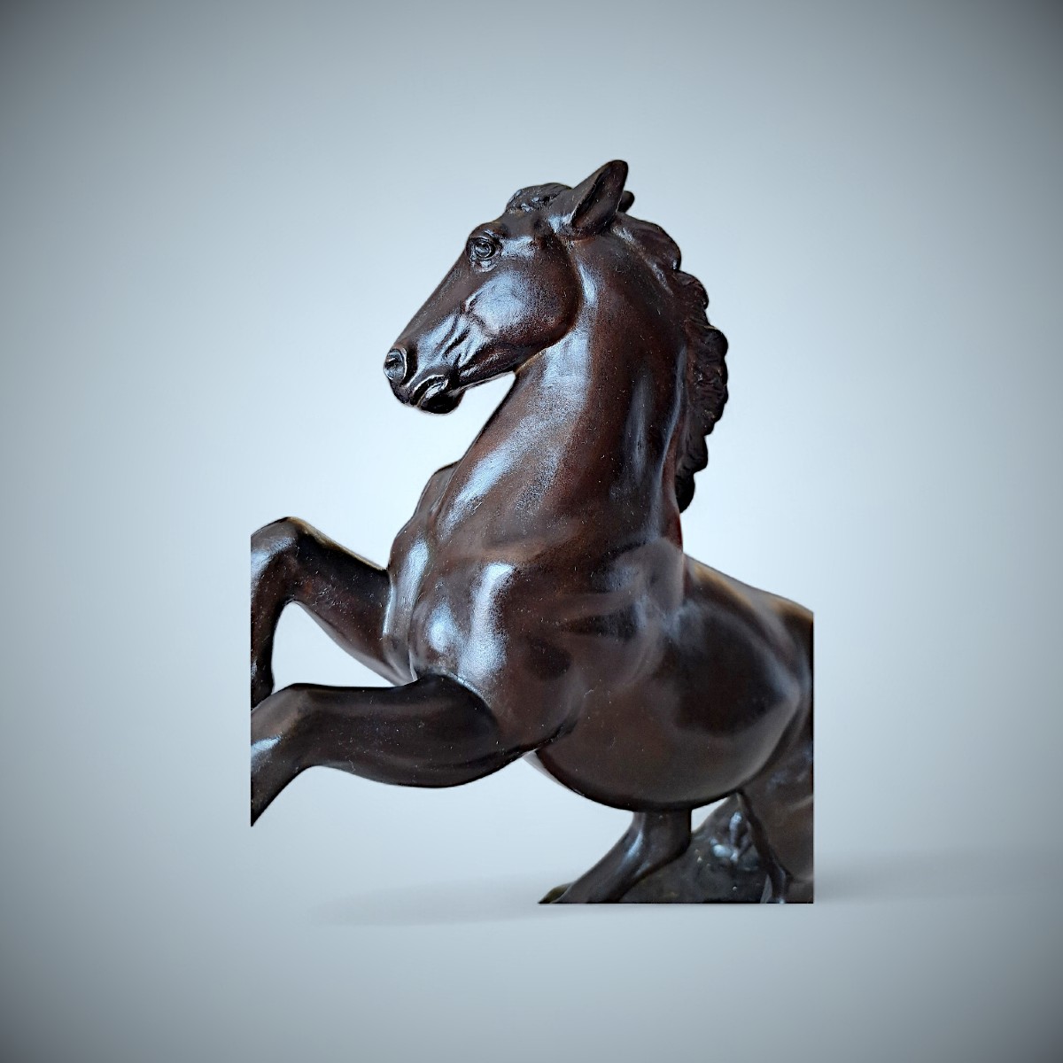 Bronze Japonais de Masahiko KATORI : cheval cabré-photo-7