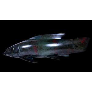 Bronze japonais d'Ōta Ryohei : Sculpture en bronze patiné représentant un poisson (Koï/Carpe) 