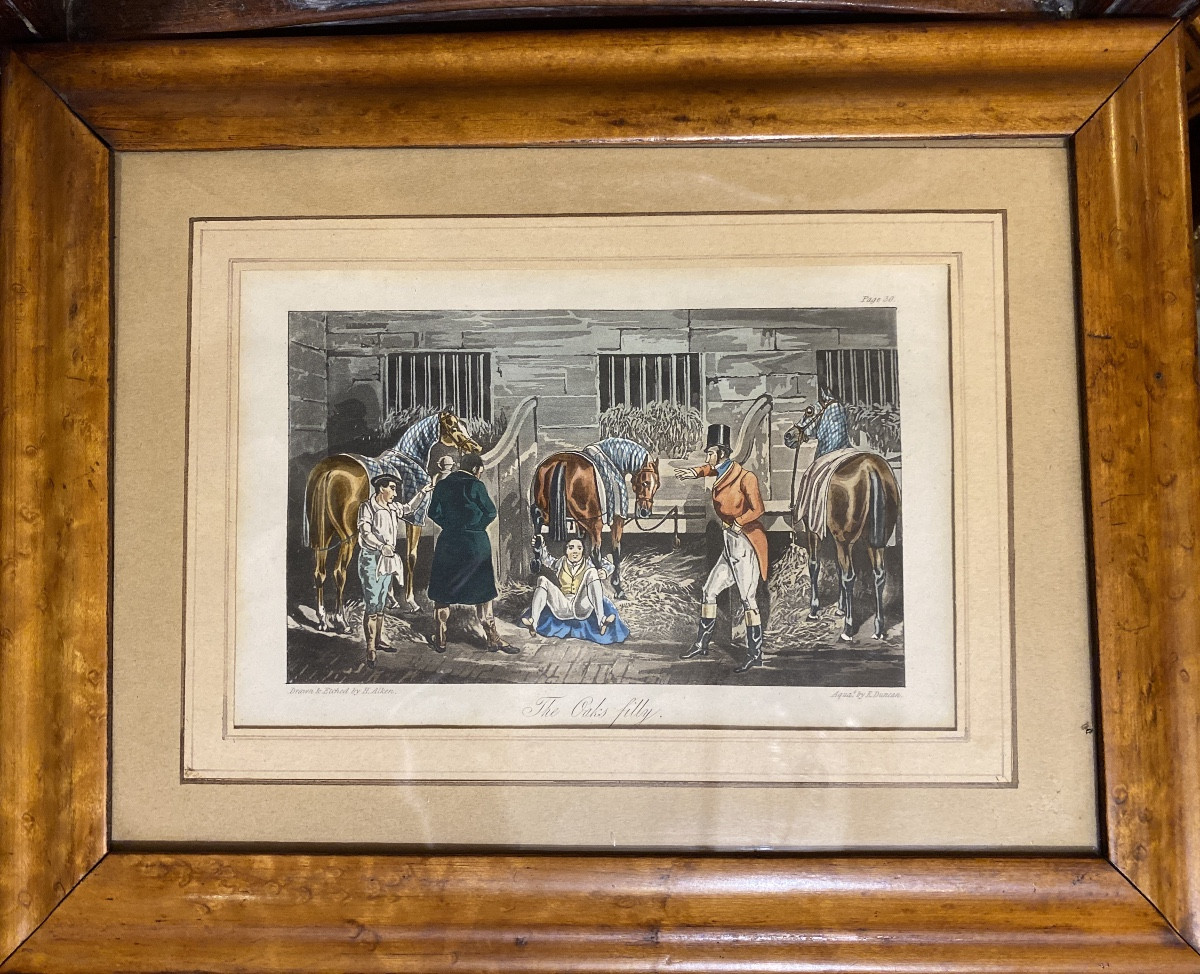 English Engraving By Alken, 1837, Period Frame In Speckled Maple