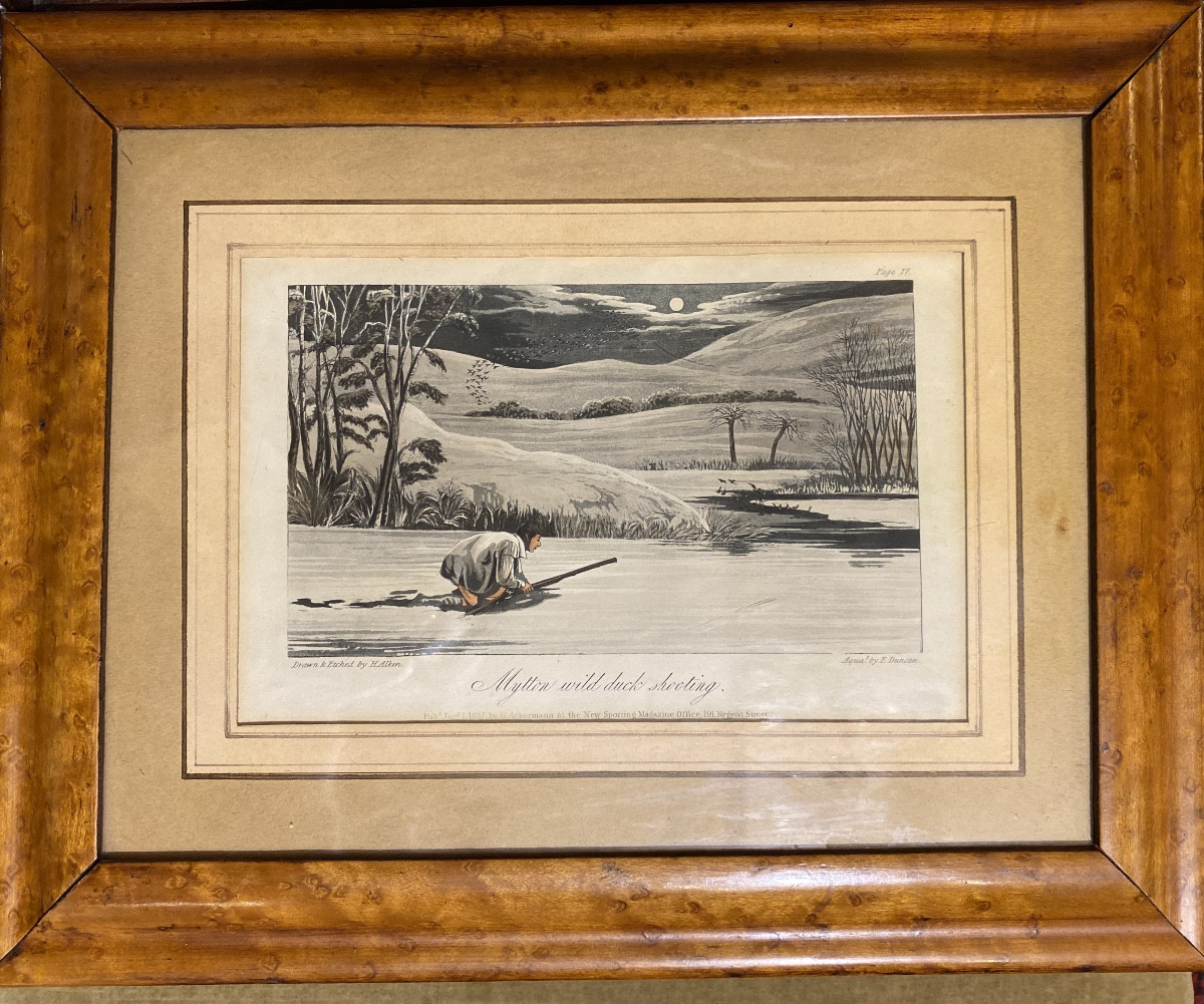 Aquatint Engraving By Alken, 19th Century, Period Frame In Speckled Maple