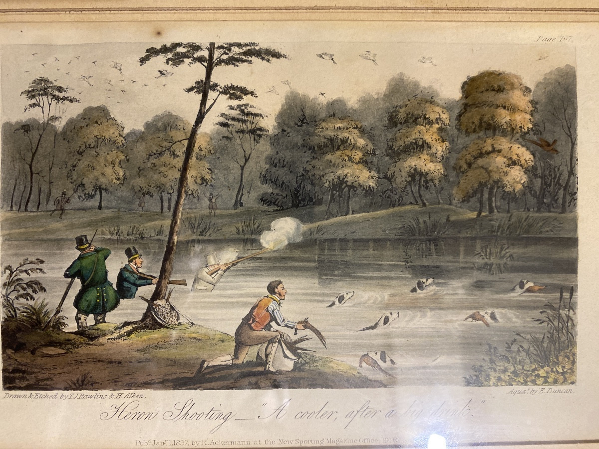 Heron Hunting Engraving, Aquatint Engraving By Alken-photo-2