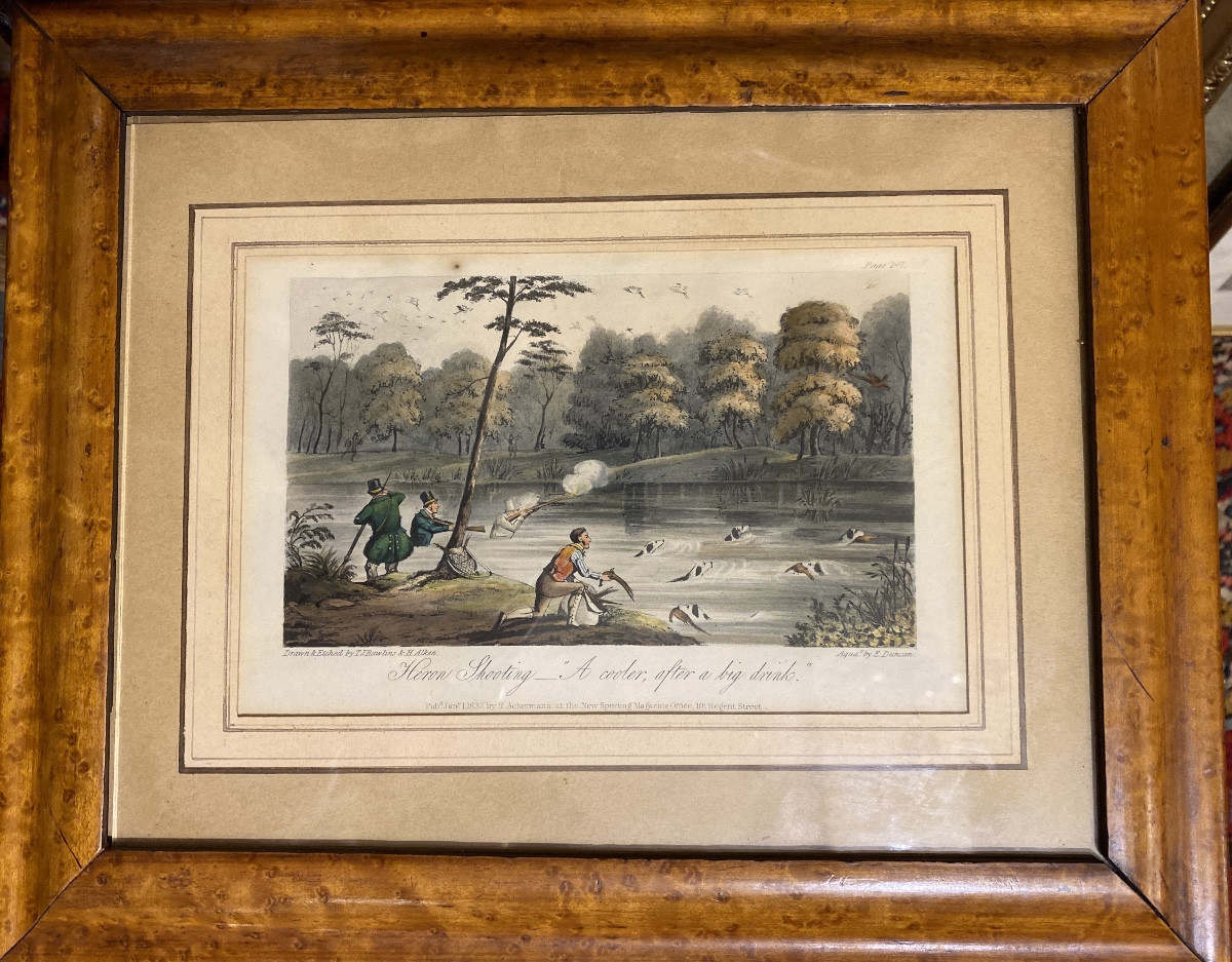 Heron Hunting Engraving, Aquatint Engraving By Alken