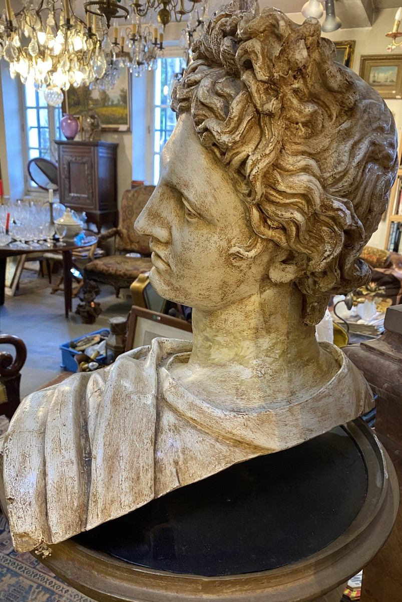 buste d'Apollon du Belvedere-photo-4