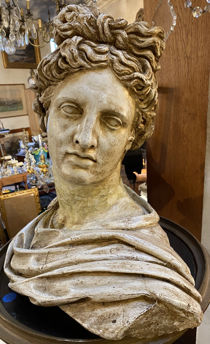 buste d'Apollon du Belvedere