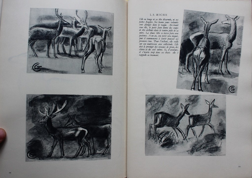 Gaston Chopard "wild Animals" Eo 1/288 Num. + 5 Original Drawings 1945-photo-1