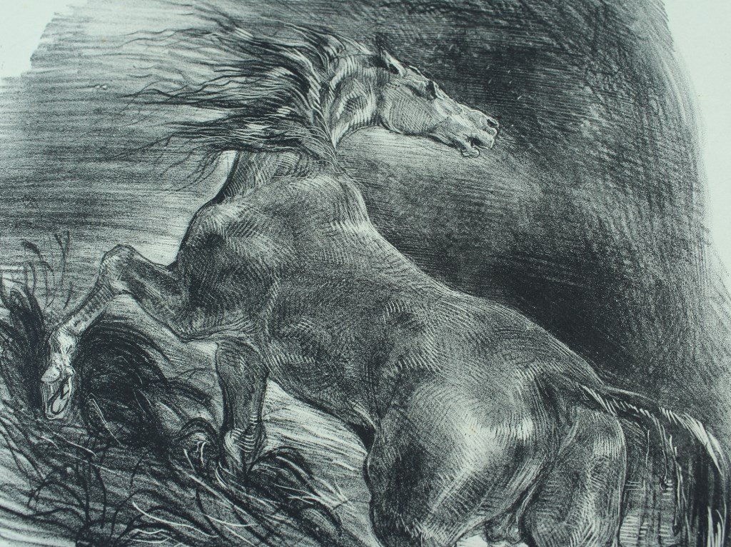 Eugène DELACROIX "Cheval sauvage" Lithographie originale 2e état publié dans "L'Artiste" 1865-photo-5