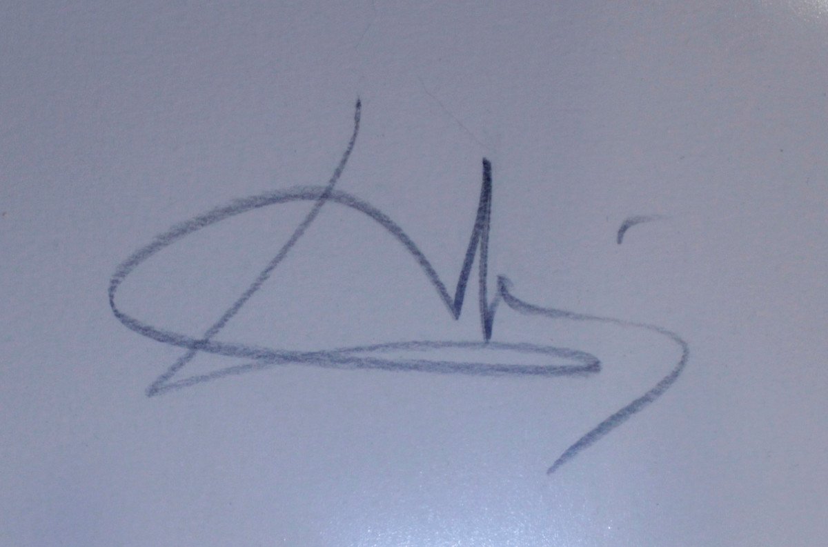 Salvadore DALI : Feuille Canson vierge 105 x 69 cm portant la signature originale de Dali