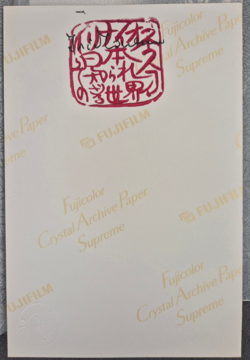 Irina IONESCO - "YAKUSA" Portfolio 15 photos originales signées tiré à 30 ex. numéroté & signé-photo-4