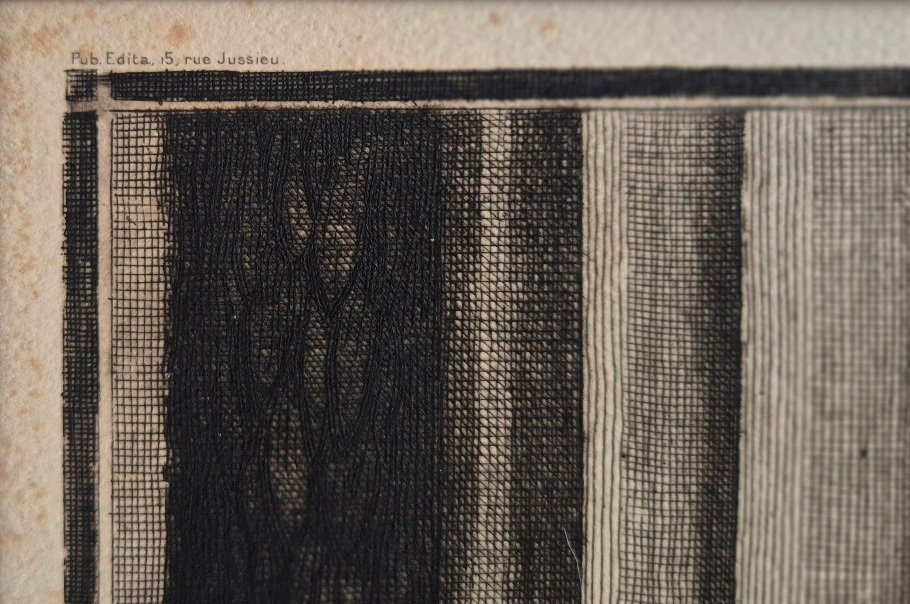 RIGAL - EXPOSITION DES ARTS DÉCORATIFS ET INDUSTRIELS MODERNES DE 1925 - Diplôme commémoratif-photo-2