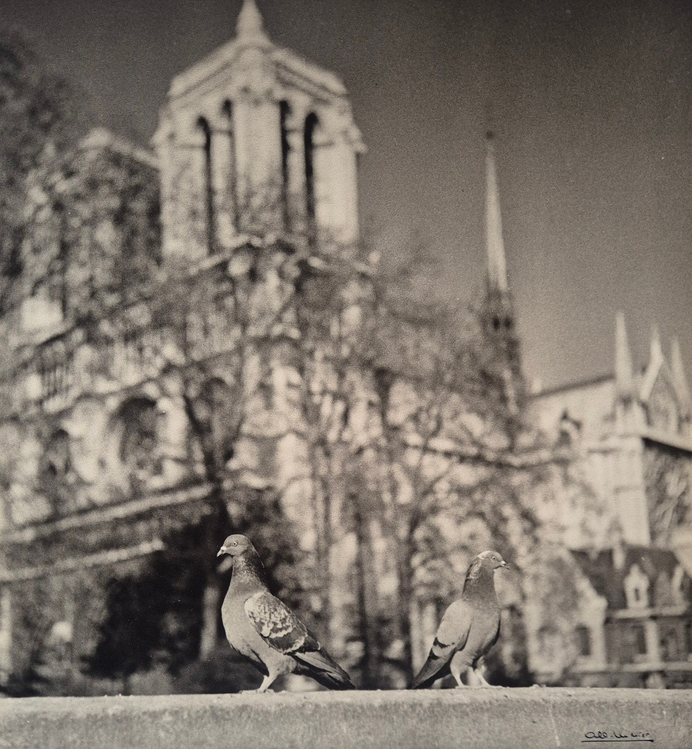Albert Monier 23 Very Large Original Photographic Prints On Paris C.1955