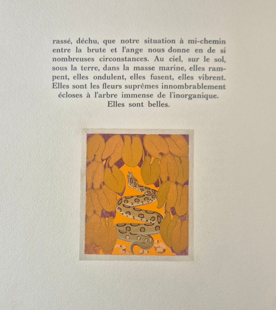 Francis de MIOMANDRE – Bestiaire – 15 Pochoirs de Simon BUSSY 1/200 ex. num. sur Arches 1927-photo-2