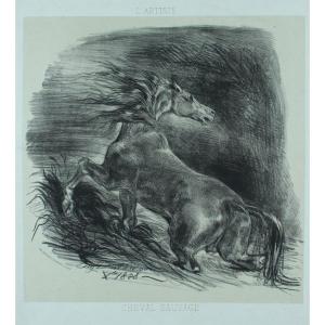 Eugène DELACROIX "Cheval sauvage" Lithographie originale 2e état publié dans "L'Artiste" 1865