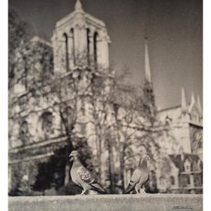 Albert Monier 23 Very Large Original Photographic Prints On Paris C.1955