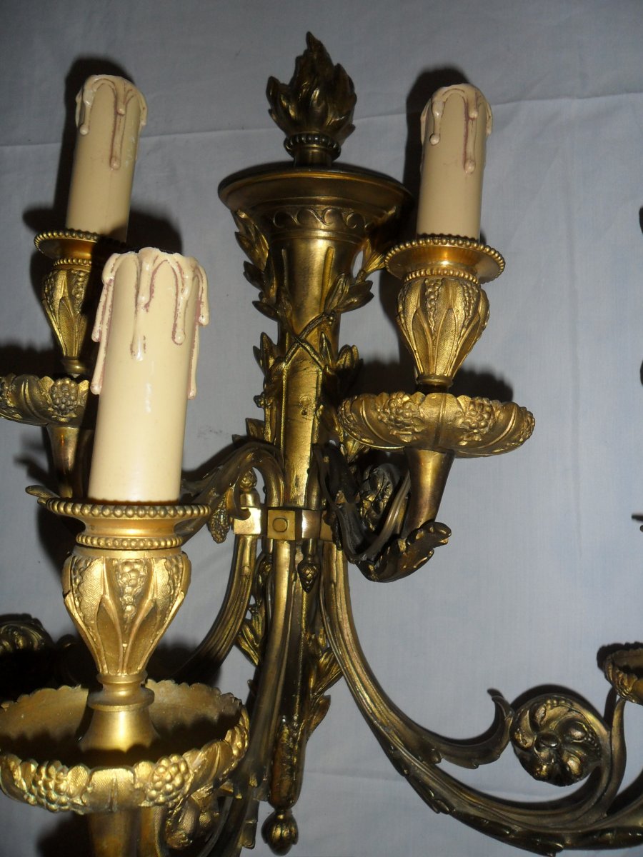 Large Pair Of 5 Light Louis XVI Style Gilt Bronze Sconces-photo-6