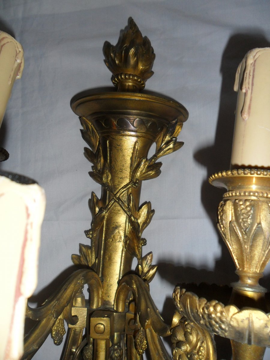 Large Pair Of 5 Light Louis XVI Style Gilt Bronze Sconces-photo-7