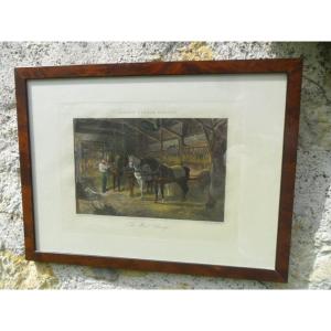Gravure Anglaise du 19ème " Scène D'Ecurie "
