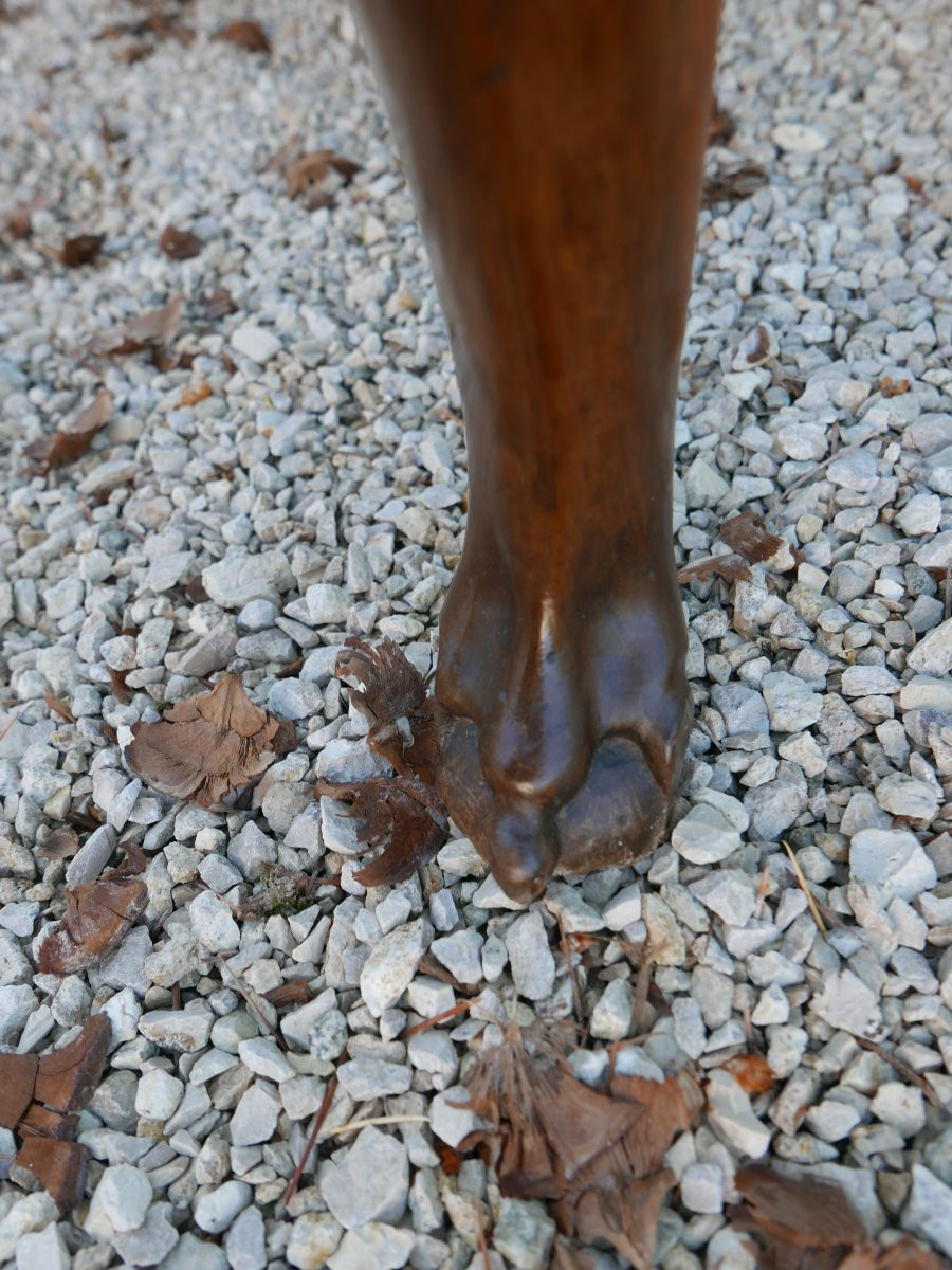 Important 18th Century Provençal Walnut Chest Of Drawers-photo-4