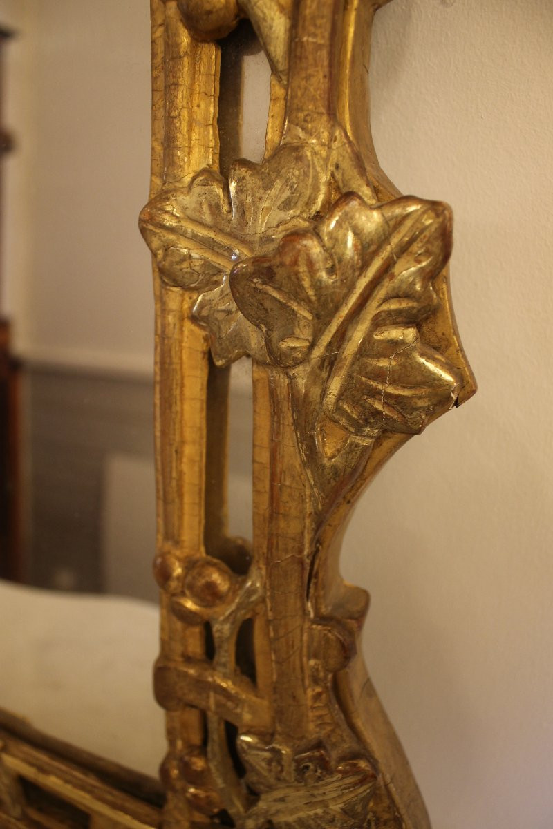 Louis XV Period Giltwood Mirror With Side Panels-photo-6