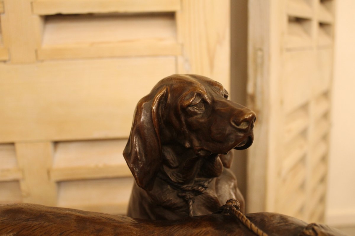Chiens De Meutes Brillador Et Fanfaron, Bronze d'Auguste Cain (1821-1894), Fonte Susse-photo-3