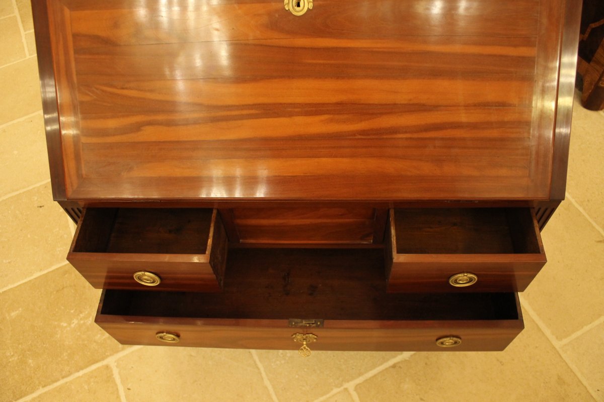 Louis XVI Slope Desk In Solid Satin Wood, XVIIIth Century-photo-7