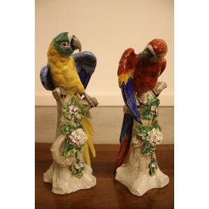 Couple Of Parrots In Polychrome Porcelain From Sitzendorf