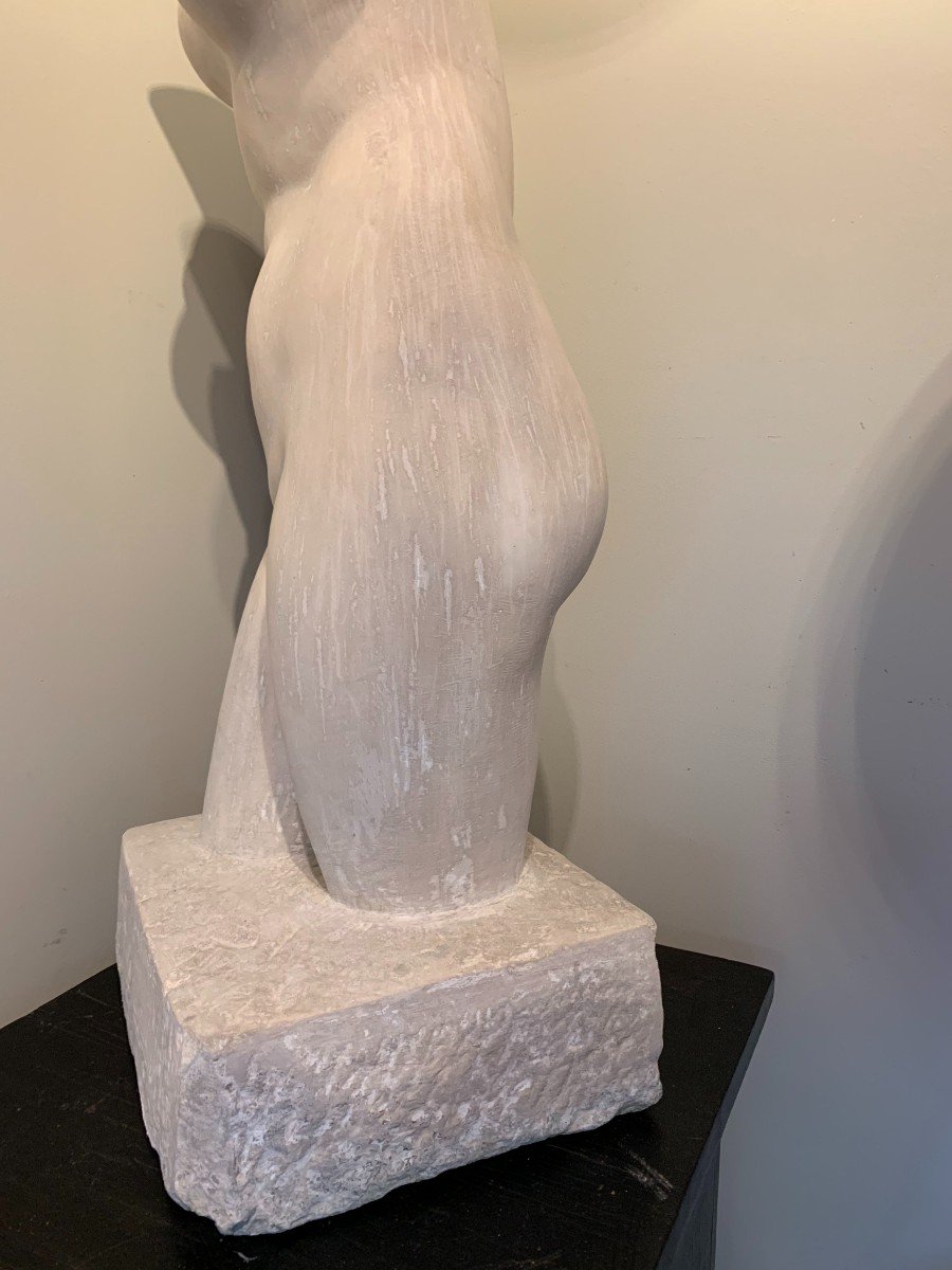 Carrara Marble Bust After Antique - Signed Joyeux - Dated 1905 - Aphrodite Of Cnidus-photo-1