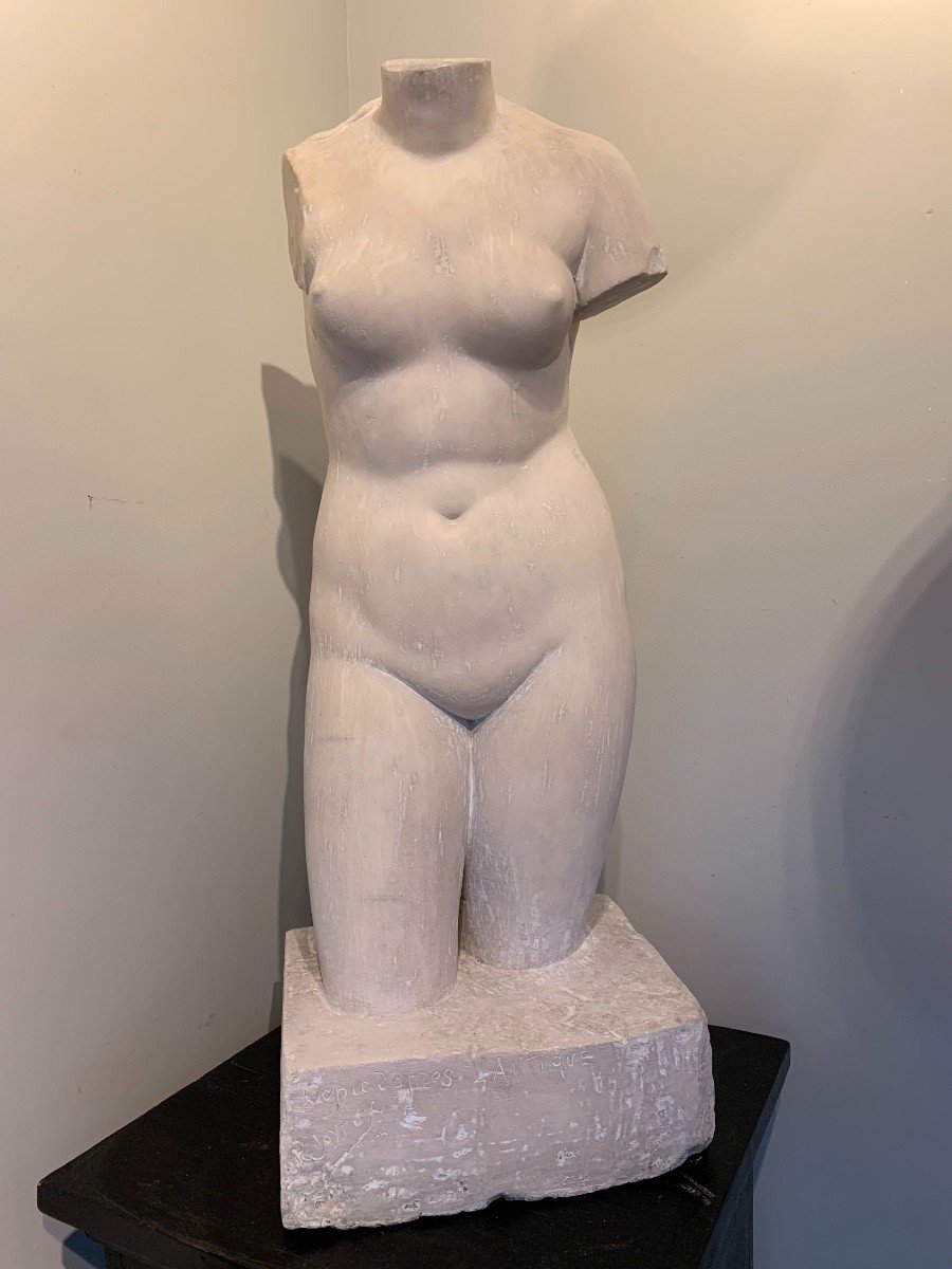 Carrara Marble Bust After Antique - Signed Joyeux - Dated 1905 - Aphrodite Of Cnidus
